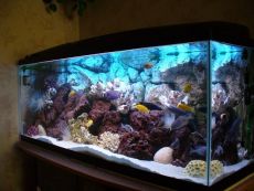 Купить аквариум в Саратове